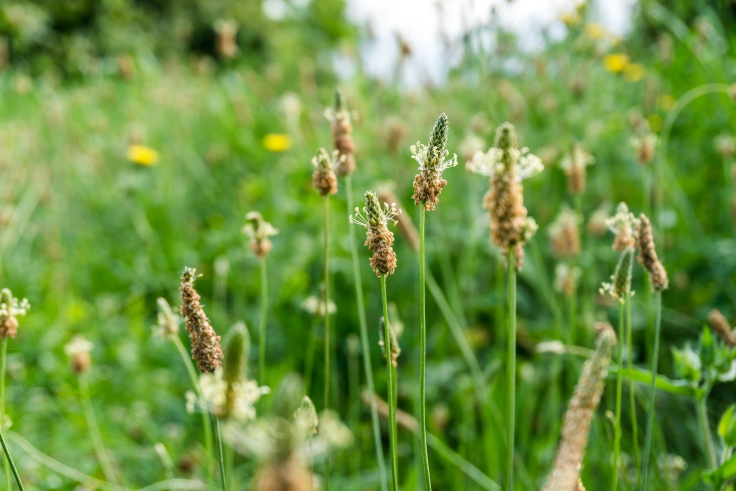 Holistic Health Trends You Need to Know